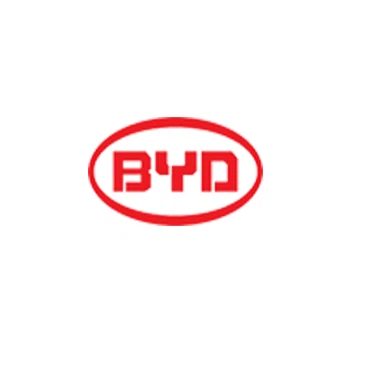 PARTS FOR BYD